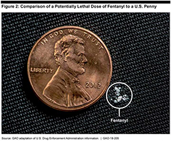 lethal fentanyl on penny