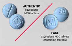 fake oxy