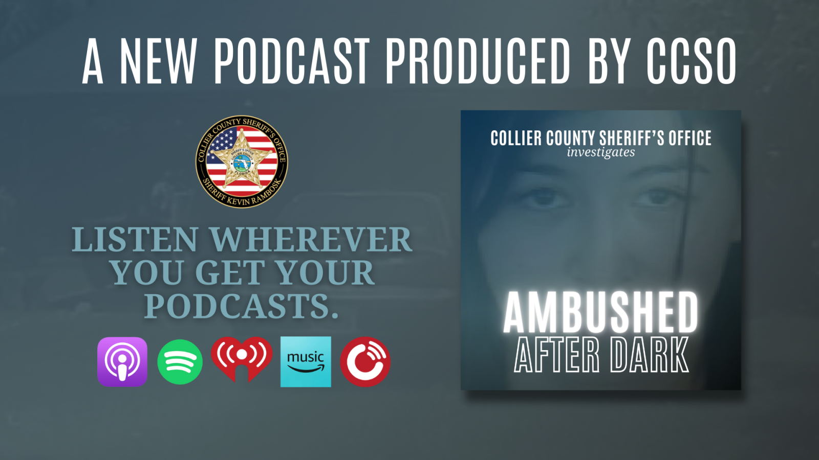 Podcast ambushed website banner