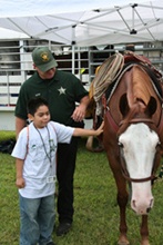 Mounted Patrol